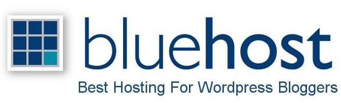 Bluehost logo